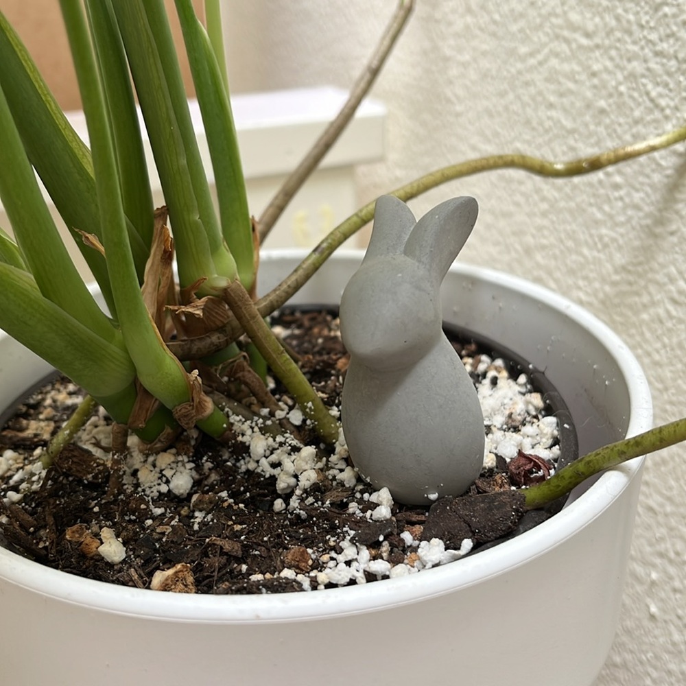 🐰Threshold Rabbit Pot Stakes - Picture 3 of 3